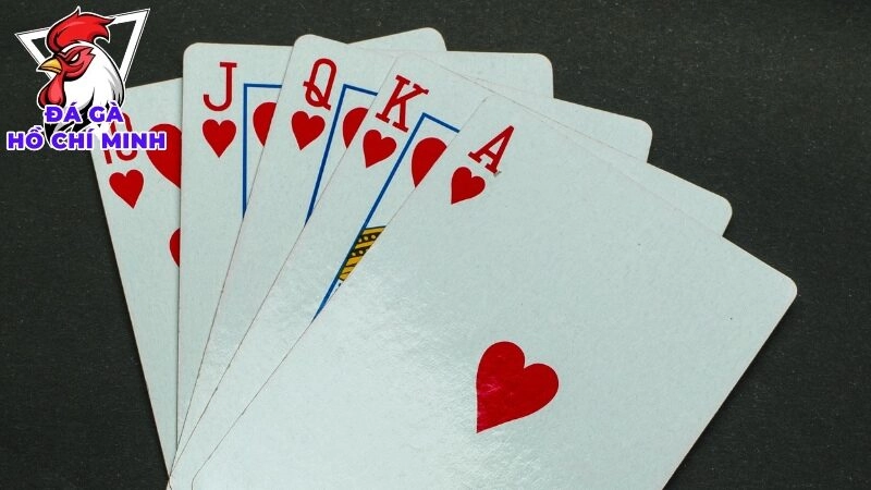 Lựa Chọn Nhà Cái Lâu Năm Và Uy Tín